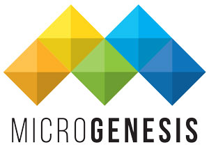 Microgenesis